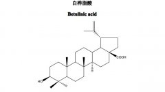 白樺脂酸對(duì)照品