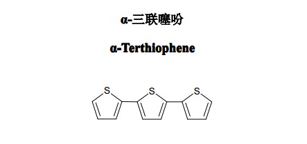 α-三聯(lián)噻吩（α-Terthiophene）中藥化學對照品