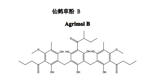 仙鶴草酚 B （AgrimolB）中藥化學對照品