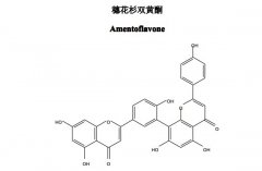 穗花杉雙黃酮對(duì)照品