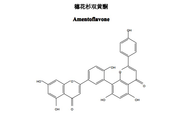 穗花杉雙黃酮（Amentoflavone）中藥化學對照品