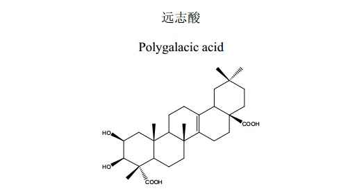 遠(yuǎn)志酸(Polygalacicacid)中藥化學(xué)對(duì)照品