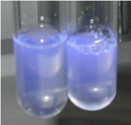 4-甲基傘形酮葡糖甘酸（MUG）對(duì)照培養(yǎng)基