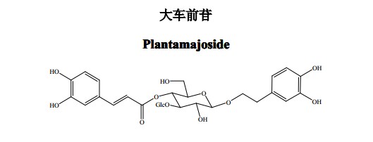 大車前苷(Plantamajoside)中藥化學(xué)對照品