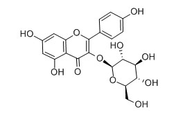 紫云英苷對照品