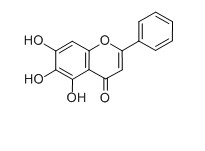 黃芩素對(duì)照品