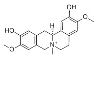 鹽酸黃柏堿對照品