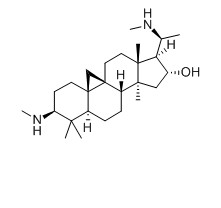 黃楊堿對(duì)照品
