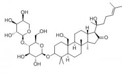 絞股藍(lán)皂苷