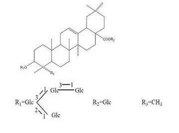 遼東楤木皂苷Ⅹ對照品