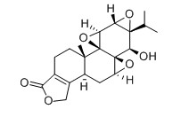 雷公藤甲素對照品