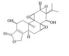 雷公藤乙素對(duì)照品