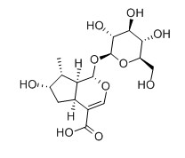 馬錢苷酸對照品