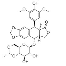 依托泊苷對照品