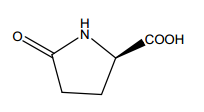 D-焦谷氨酸對(duì)照品