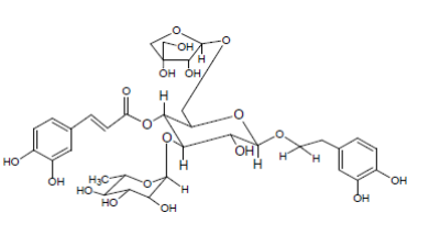 連翹酯苷B對照品
