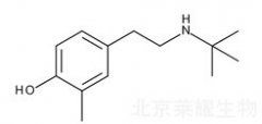 4-[2-[(1,1-Dimethylethyl)amino]ethyl]-2-methylphenol