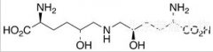 (5R,5’R)-Dihydroxy Lysinonorleucine