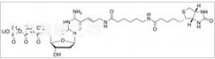Biotin-11-dUTP標(biāo)準(zhǔn)品