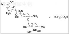 Gentamicin C2 Pentaacetate Salt