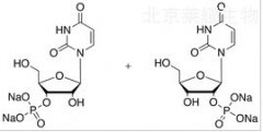 Uridine Monophosphate Disodium Salt (2’- and 3’- mixture)