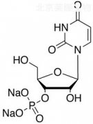 Uridine 3’-Monophosphate Disodium Salt
