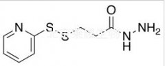 3-(2-Pyridyldithio)propanoic Acid Hydrazide標(biāo)準(zhǔn)品