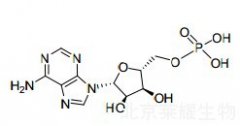 一磷酸腺苷鈉對照品