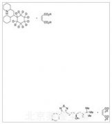 馬來酸哌克昔林-d11（非對映體混合物）