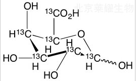 D-半乳糖醛酸-13C6標準品