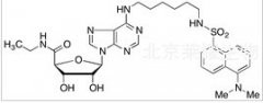 Dansylhexyl NECA標(biāo)準(zhǔn)品