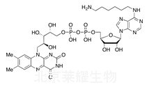 N6-(6-Aminohexyl)-FAD標準品