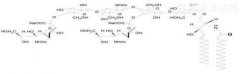 雙唾液酸四己糖神經(jīng)節(jié)苷脂鈉