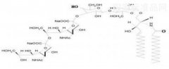 雙唾液酸二己糖神經(jīng)節(jié)苷脂鈉