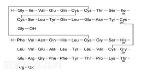 B32脫精氨酸（mono-Arg）甘精胰島素