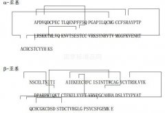 重組人促卵泡激素