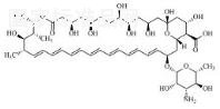 兩性霉素B標準品