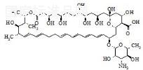 兩性霉素A標(biāo)準(zhǔn)品