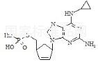 Abacavir 5’-Phosphate標(biāo)準(zhǔn)品