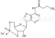 Bucladesine Impurity 2標(biāo)準(zhǔn)品