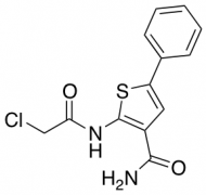 2-(2-Chloroacetamido)-5-phenylthiophene-3-carboxamide