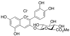 Cyanidin Methyl Ester 3-O-&beta;-D-Glucuronide