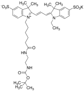 Cyanine 3 Monofunctional Hexanoic Acid Dye n-tert-Butyloxycarbonylethylenediamine Amide Po