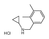 N-Cyclopropyl 2,3-dimethylbenzylamine Hydrochloride
