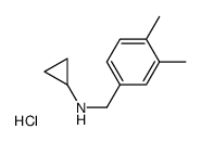 N-Cyclopropyl 3,4-dimethylbenzylamine Hydrochloride