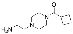 2-(4-Cyclobutanecarbonylpiperazin-1-yl)ethan-1-amine