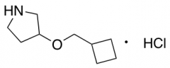 3-(Cyclobutylmethoxy)pyrrolidine Hydrochloride