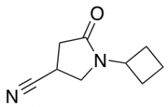 1-cyclobutyl-5-oxopyrrolidine-3-carbonitrile