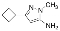 3-cyclobutyl-1-methyl-1H-pyrazol-5-amine