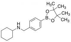 4-(Cyclohexyl)Aminomethylphenylboronic Acid Pinacol Ester